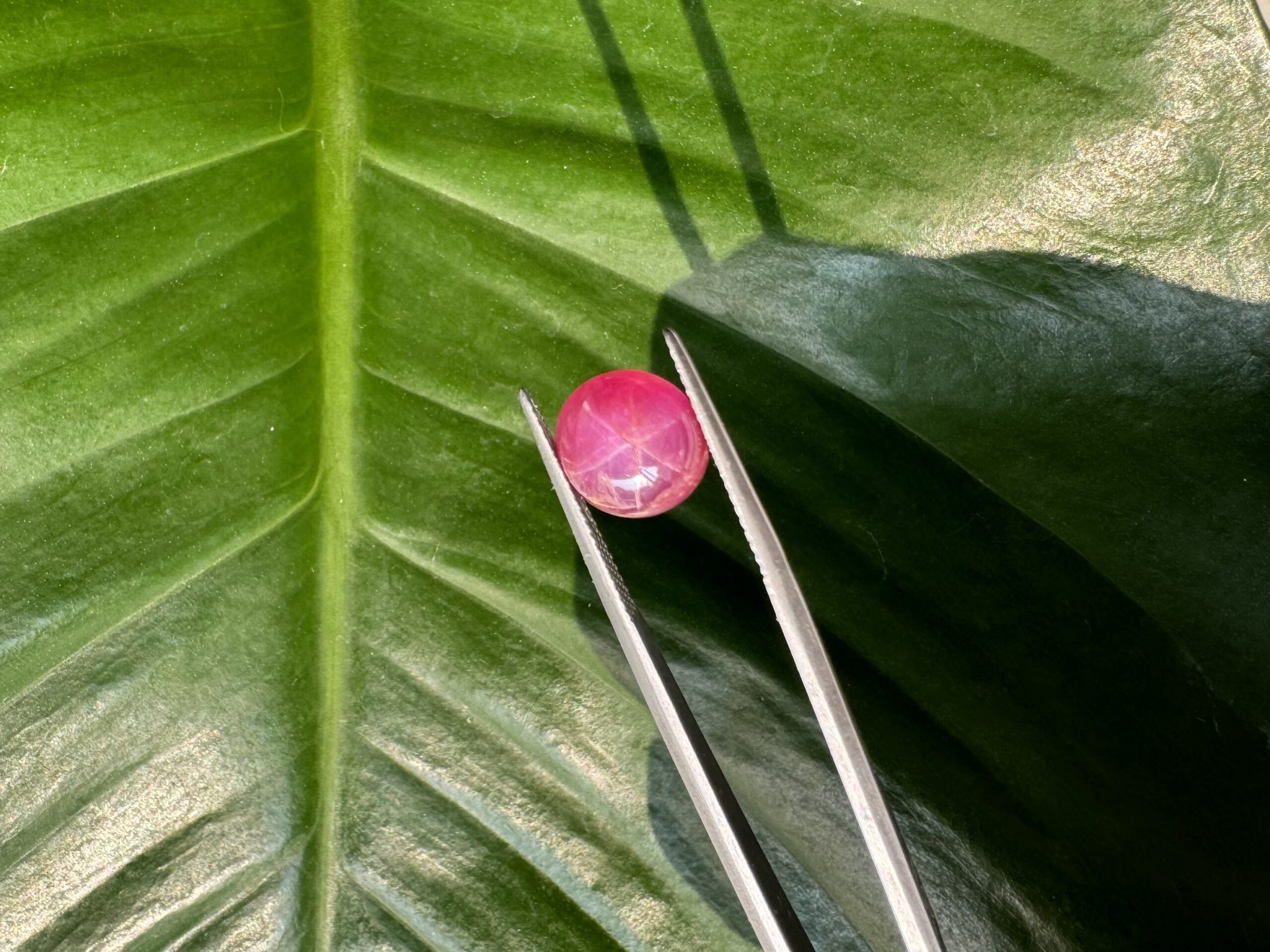 Unheat Star Ruby From Vietnam 100% Natural S11 14 Star Ruby 23 scaled