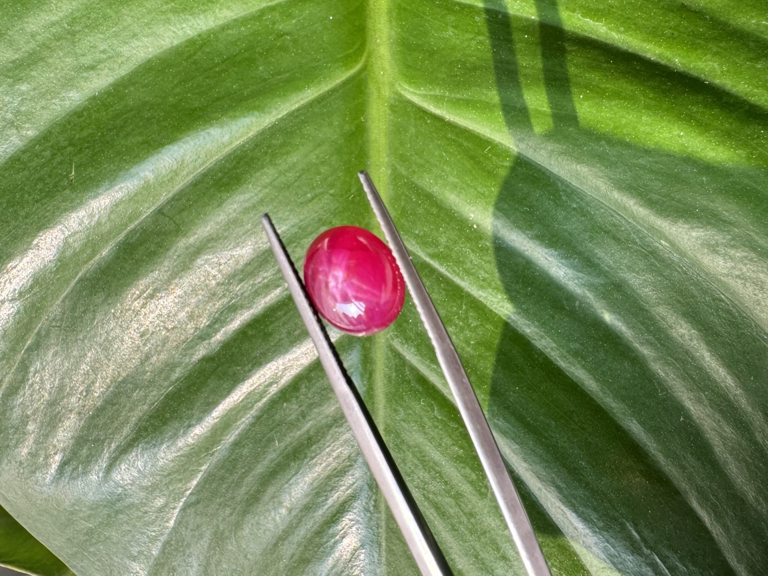 The July Birthstone: Ruby's Symbolism of Love and Passion 3 Star Ruby 43 scaled