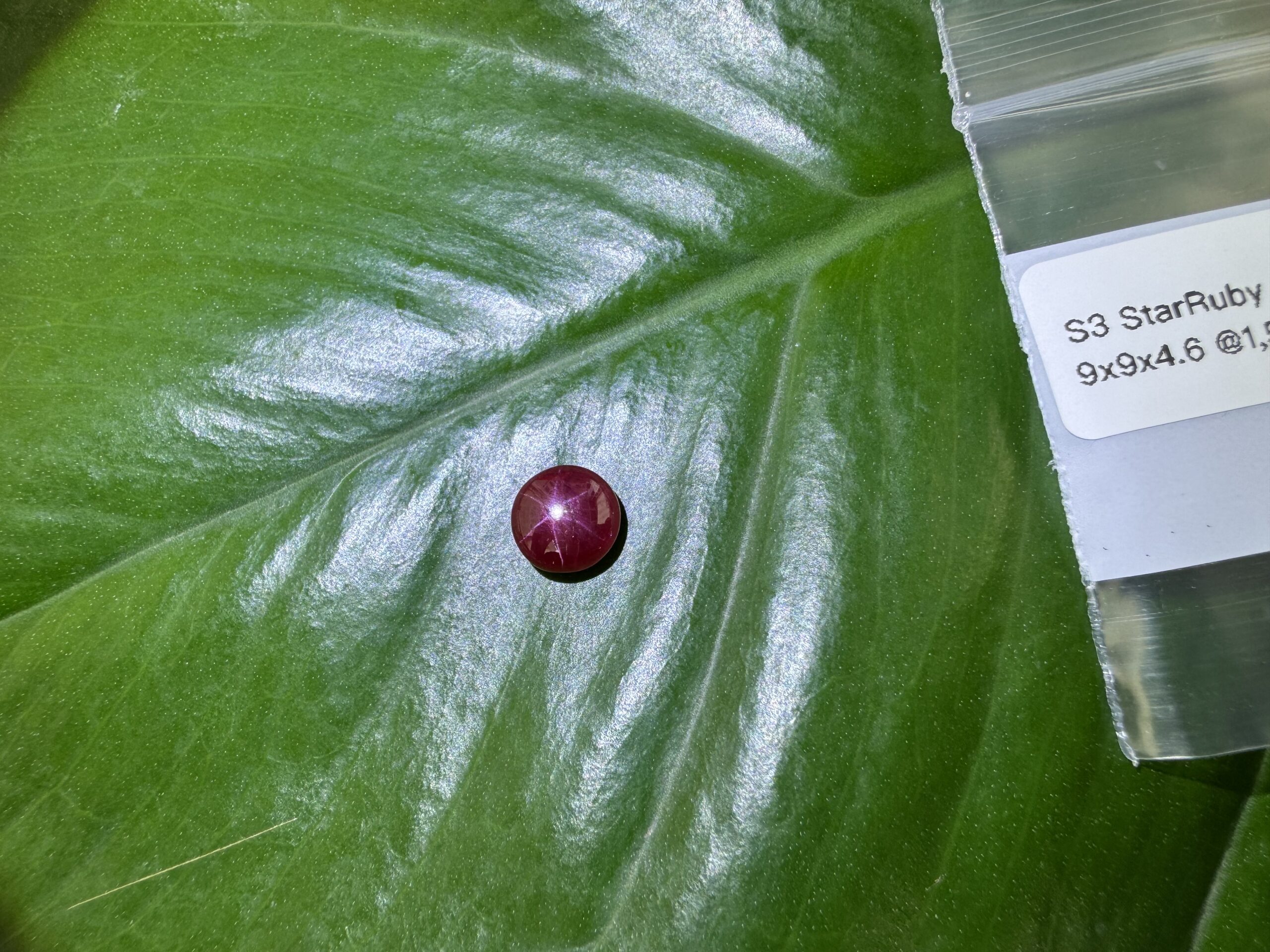 The July Birthstone: Ruby's Symbolism of Love and Passion 2 Star Ruby S3 1 scaled