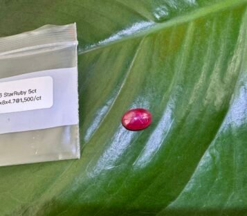 Star Ruby S6 1 scaled