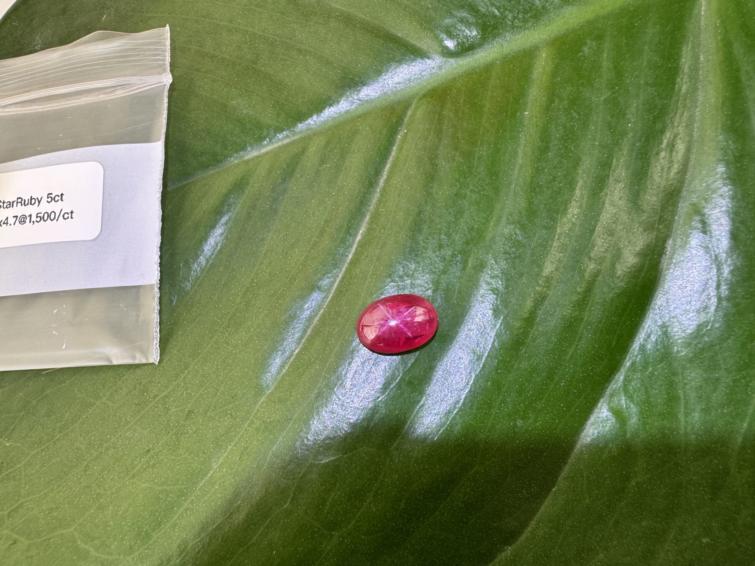 Star Ruby S6 2 scaled